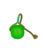 Starmark Swing N Fling Chew ball